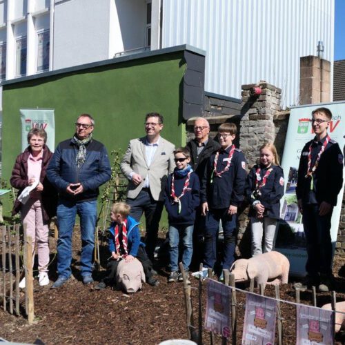 KP24_Schweine_Nettetal-2