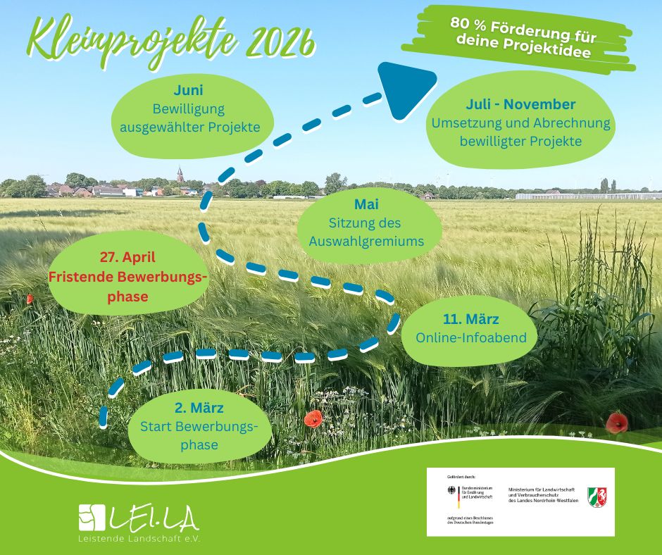 Kopie von www.leader-leila.de(1)